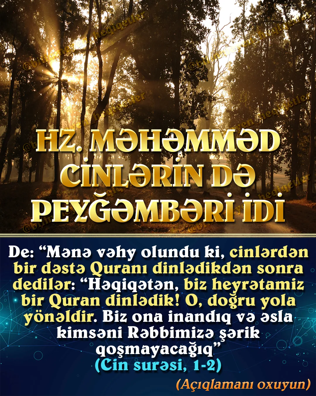 Quranın 72-ci surəsi olan Cin surəsində Allah cinlərin də hz