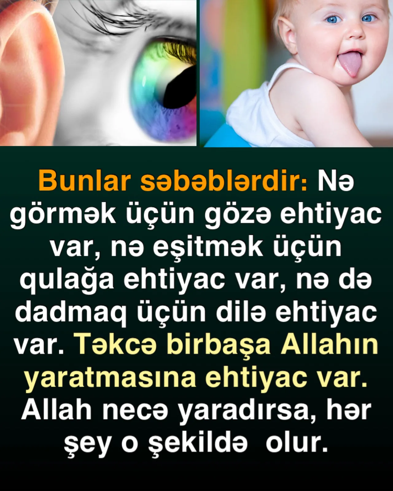 Quranın elmi möcüzələri