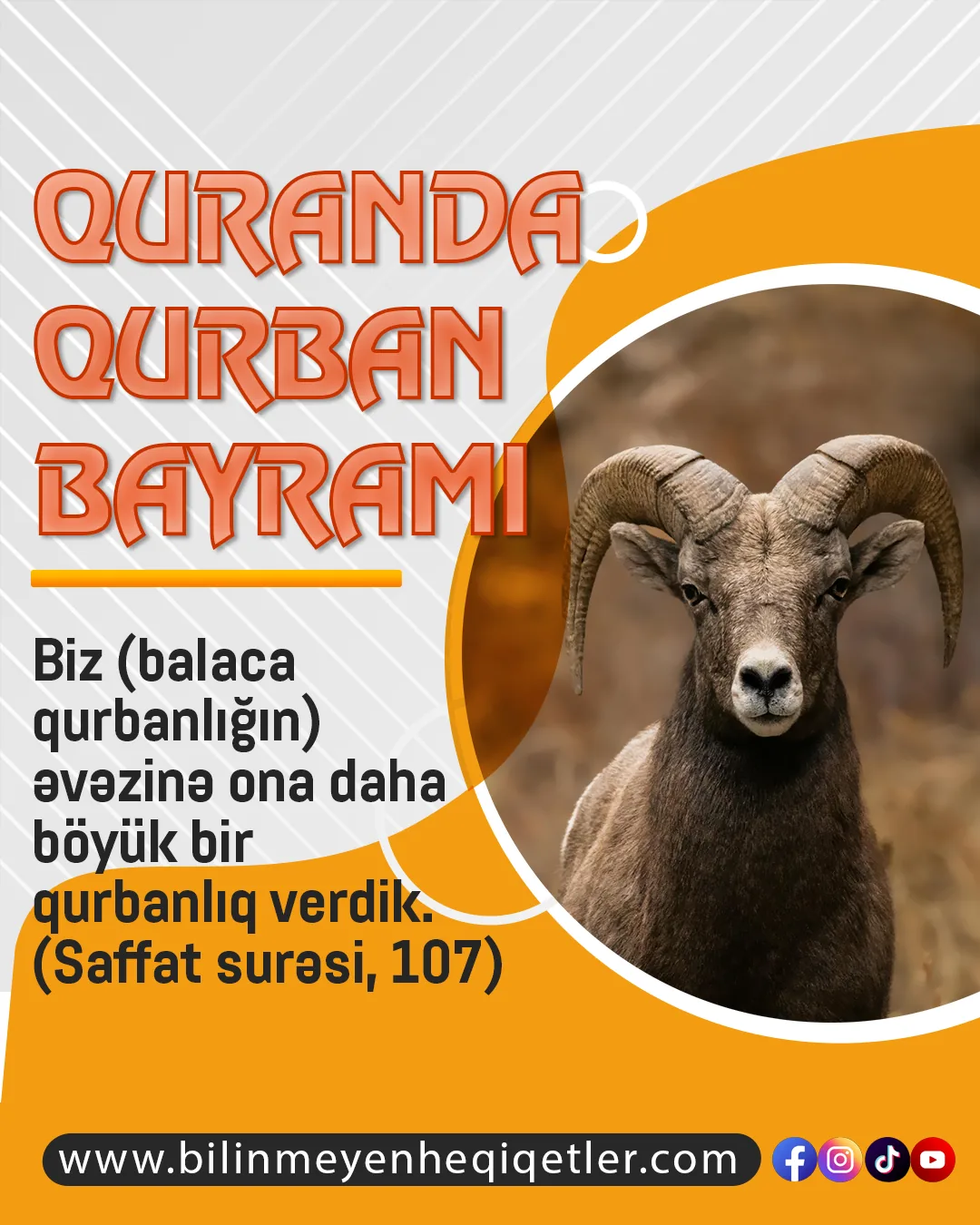 Qurbanlıq ilə əlaqəli çoxlu uydurma hədislər var (2)