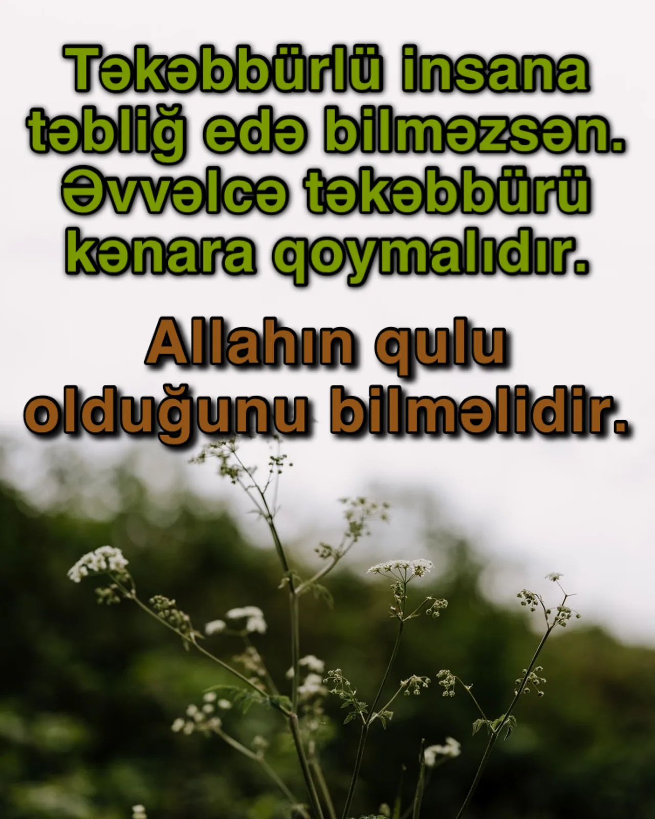 Qürurlu insanların saxta siması