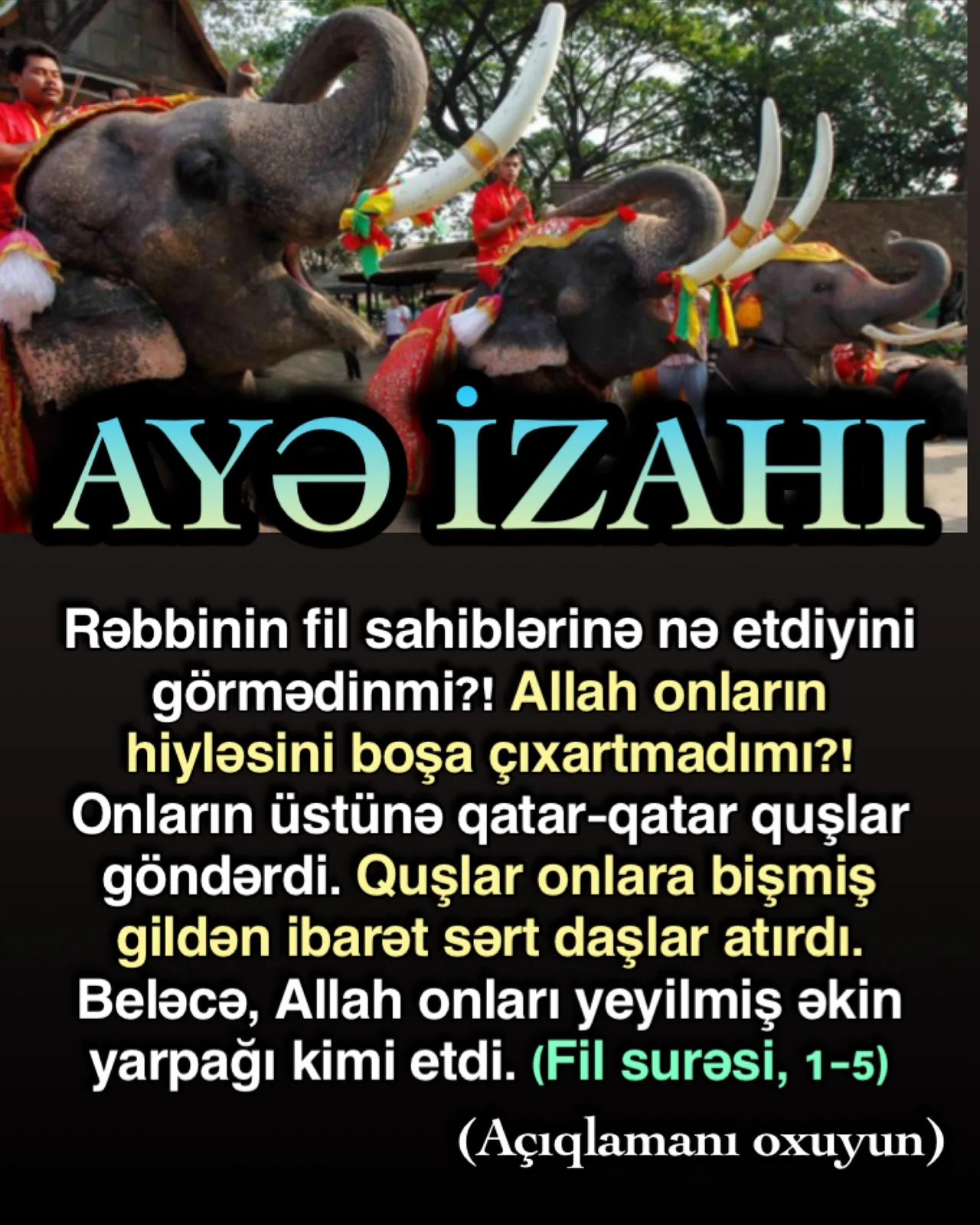 Rəbbinin fil sahiblərinə nə etdiyini görmədinmi?!