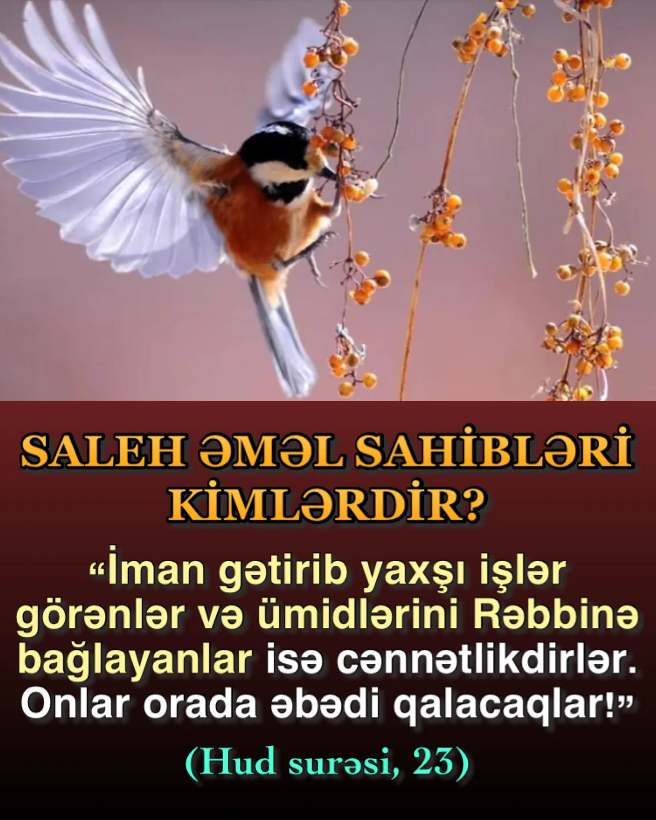 Saleh əməlin əsl meyarı ixlasdır