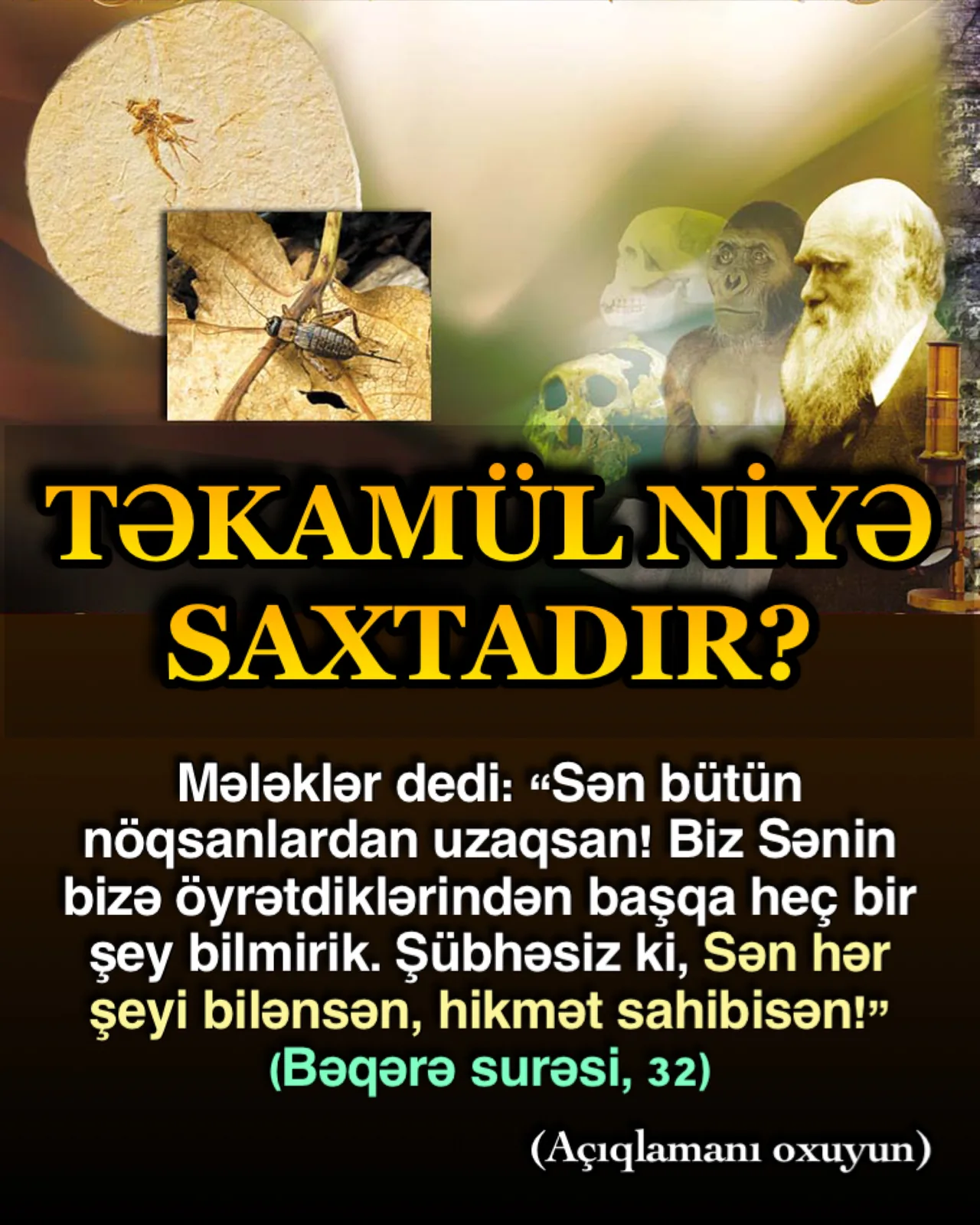 Saysız-hesabsız iman dəlilindən bir neçə nümunə belə, Allahın qüsursuz yaradışını göstərmək