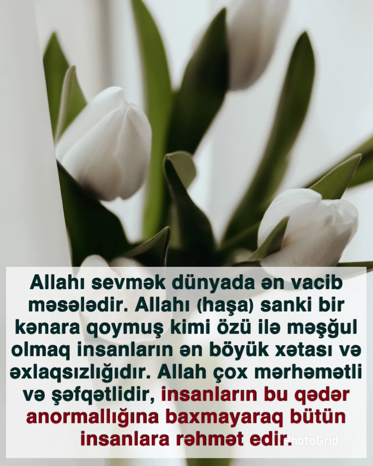 Sədaqət sevgi ilə möhkəmlənir