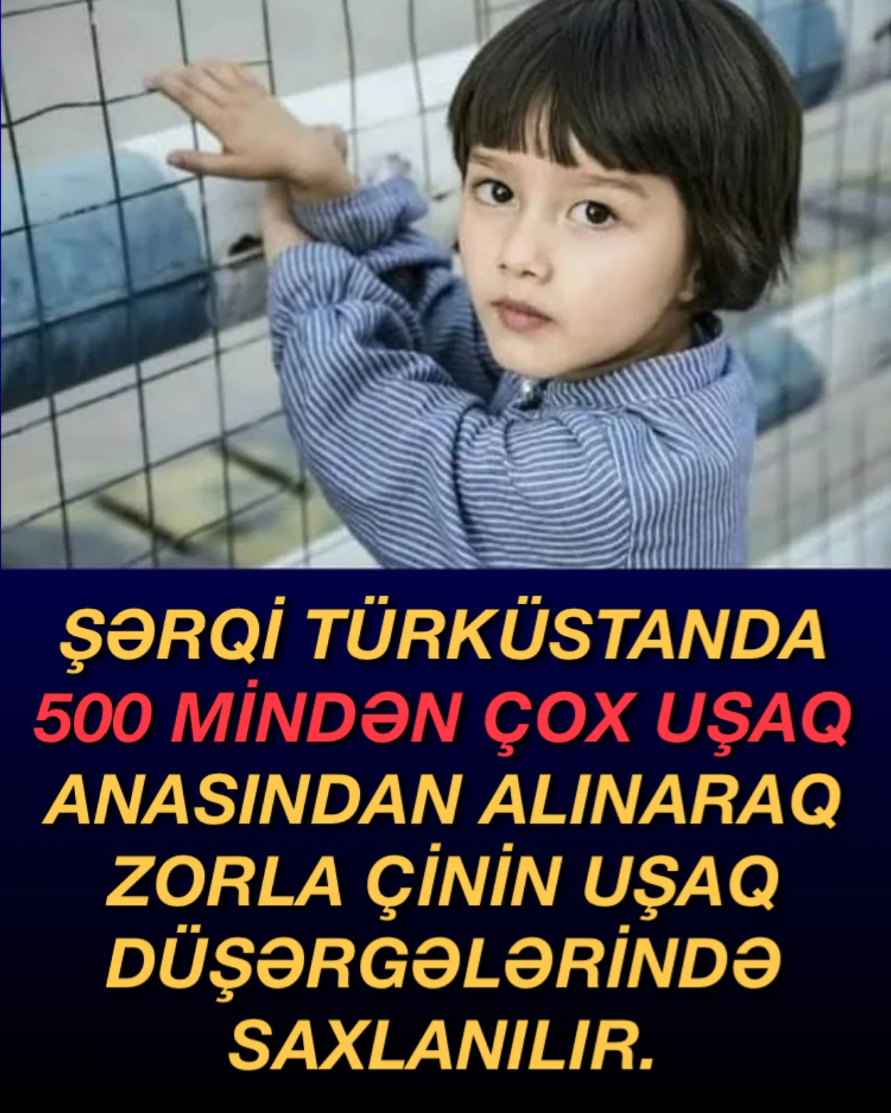 Şərqi Türküstanda assimilyasiya siyasəti