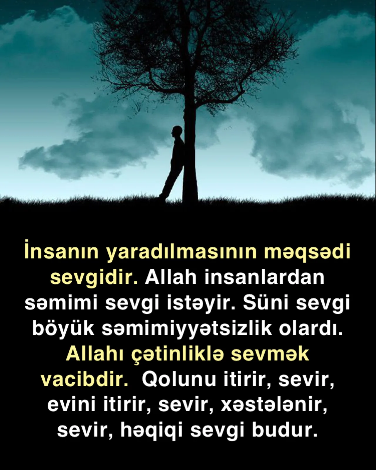 Sevgi Allahın verdiyi ən böyük nemətlərdəndir