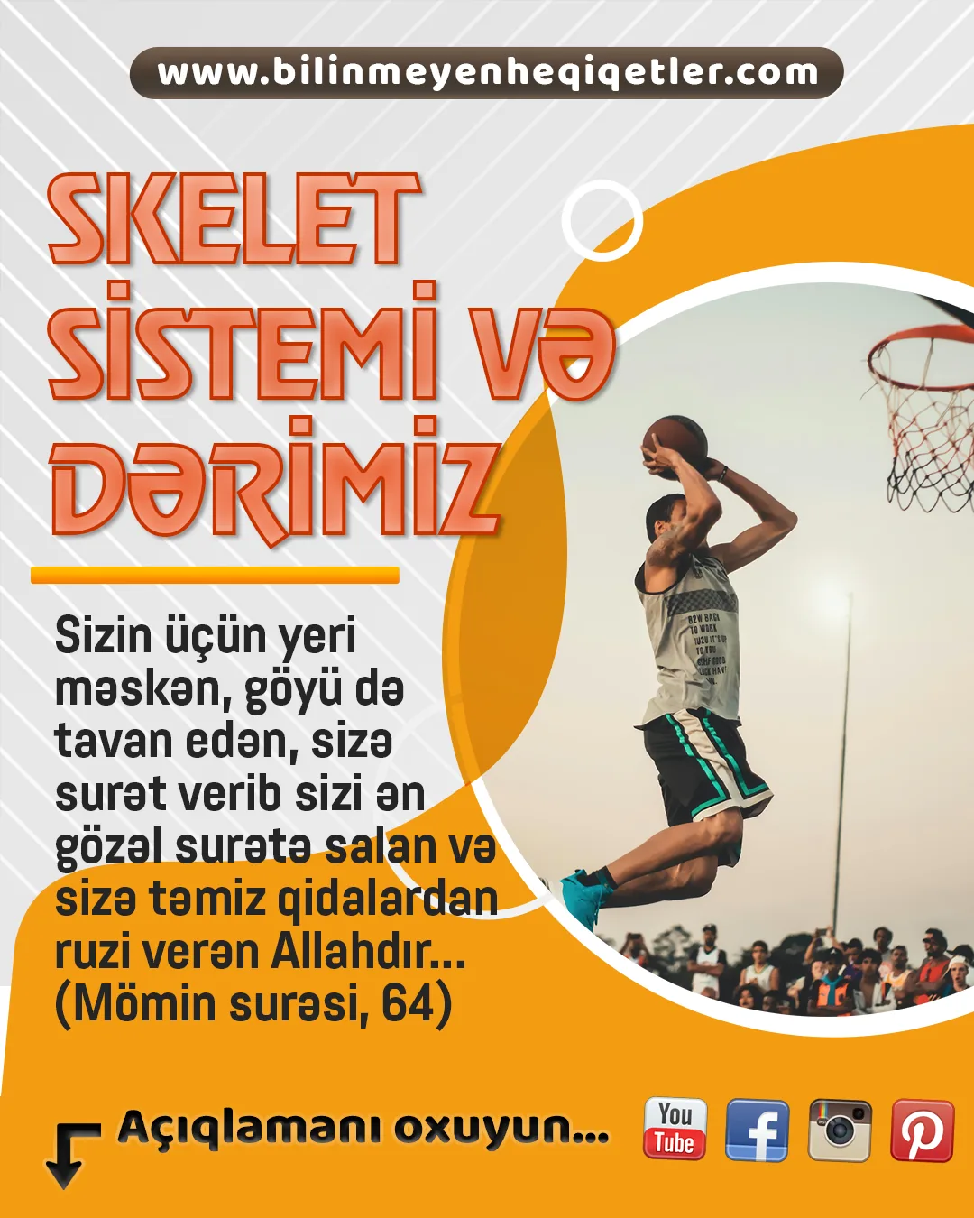 Skelet başdan sona mühəndislik möcüzəsidir
