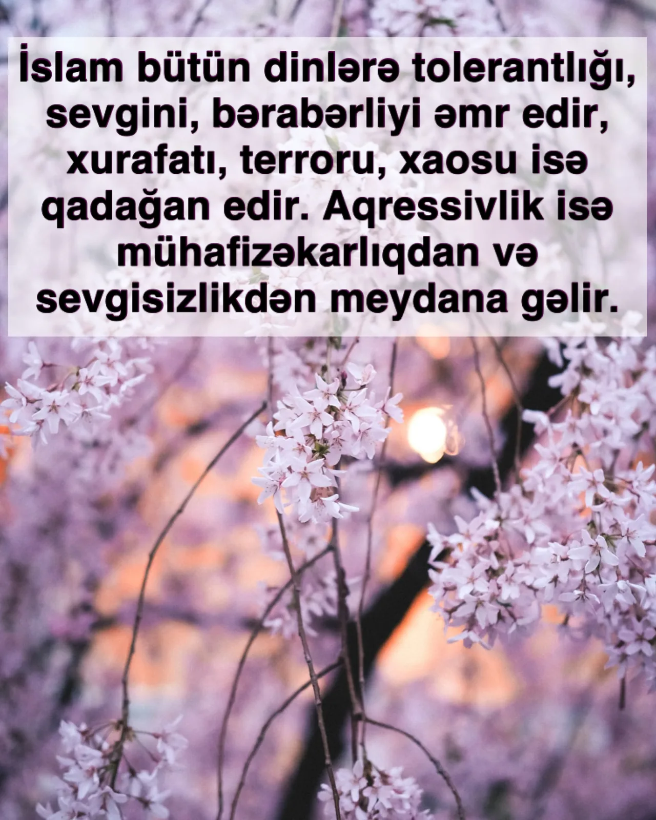 Şükür edənlərə nemətlərin artırılması sirri
