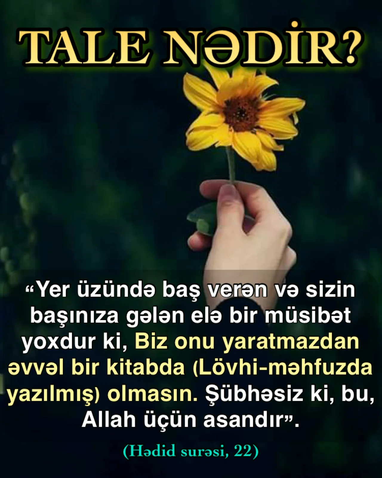 Taleyə iman rahatlıqdır