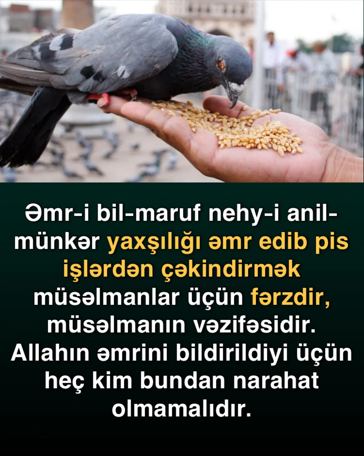 Təbliğ – həyatı əhatə edən ibadət