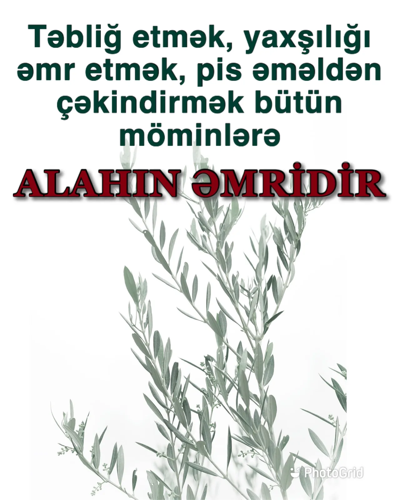 Təbliğ – möminin əsas ibadətlərindən biri