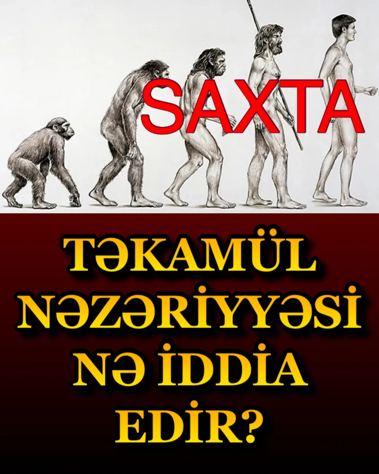 Təkamül nəzəriyyəsi canlılığın təsadüfən meydana gəldiyini iddia edər