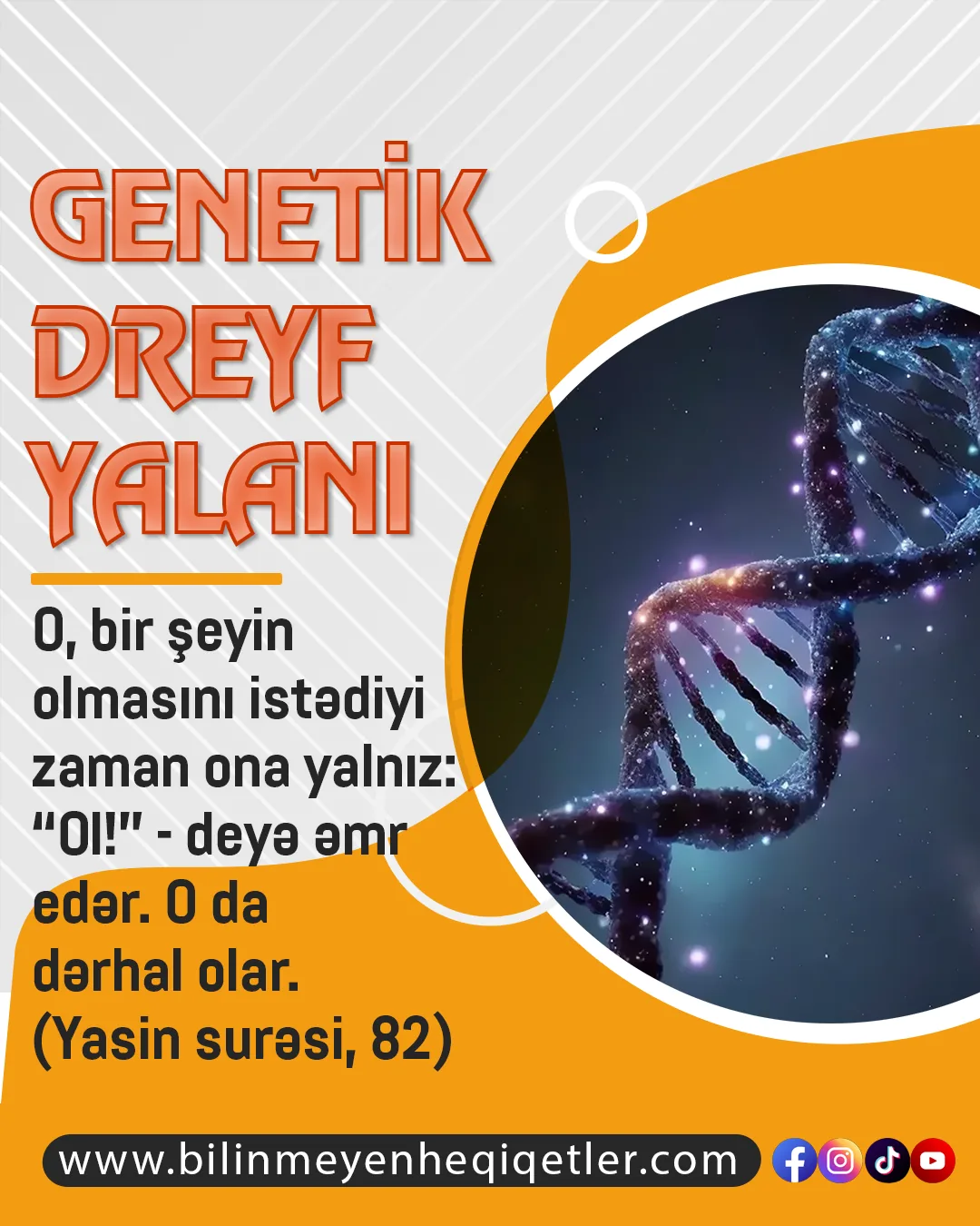 Təkamülü dəstəkləmək üçün tez-tez bəzi terminlər ortaya atılır