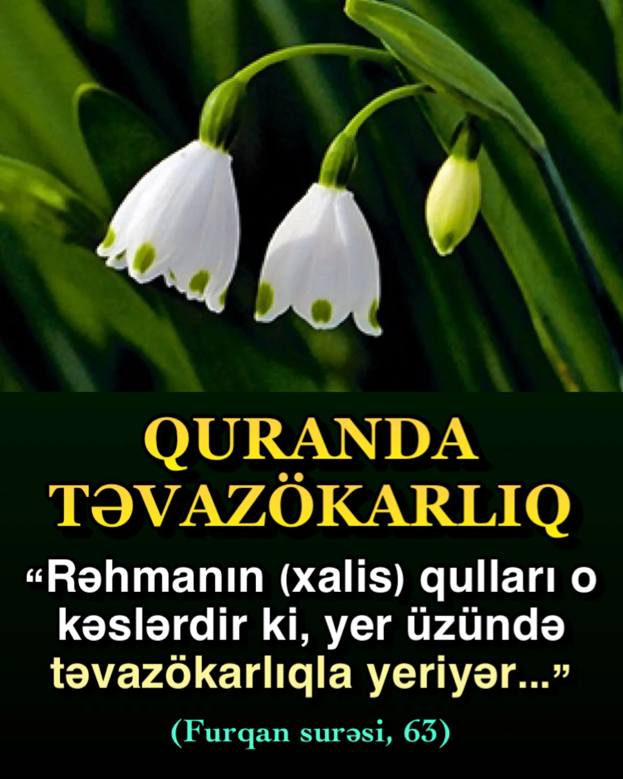 Təvazökar insanın xüsusiyyətləri