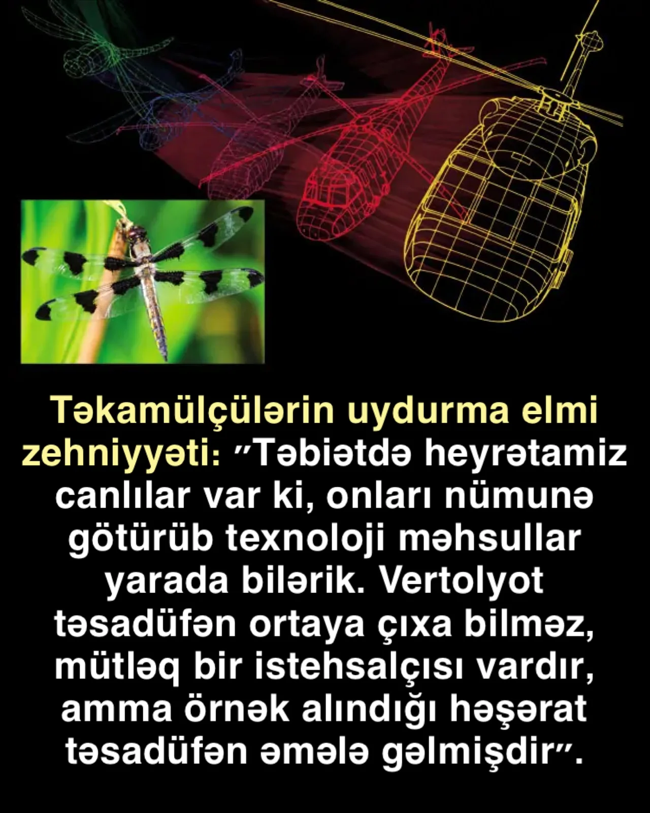 Təsadüflər nəzəriyyəsi ağıl və məntiqdən uzaqdır