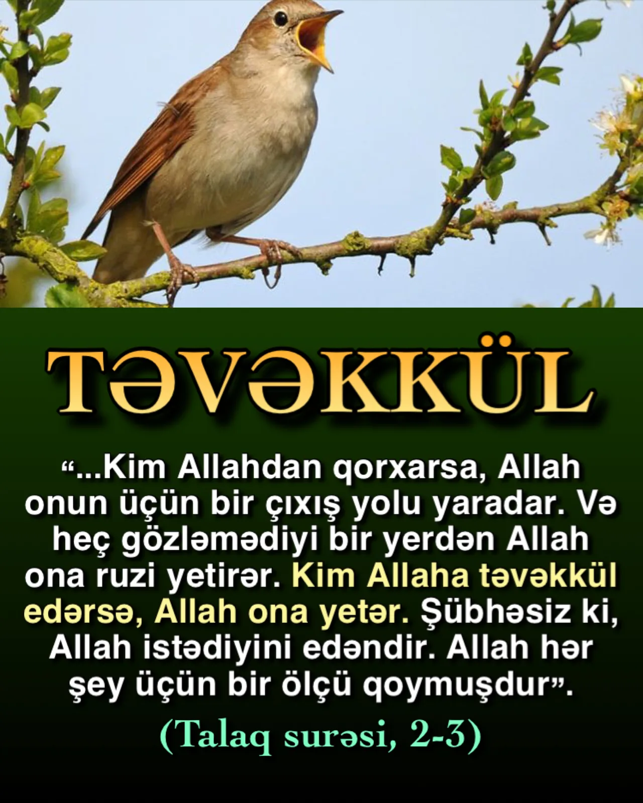 Həqiqi təvəkkül Allaha güvənməkdir