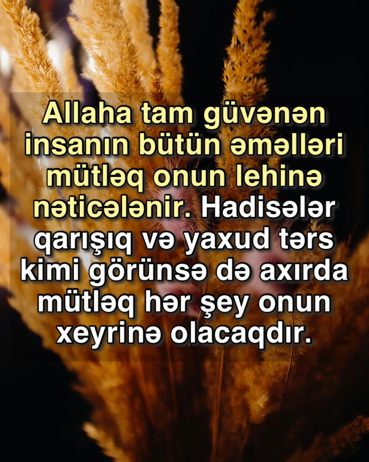 Təvəkküldə qətiyyət: hər işdə xeyir vardır