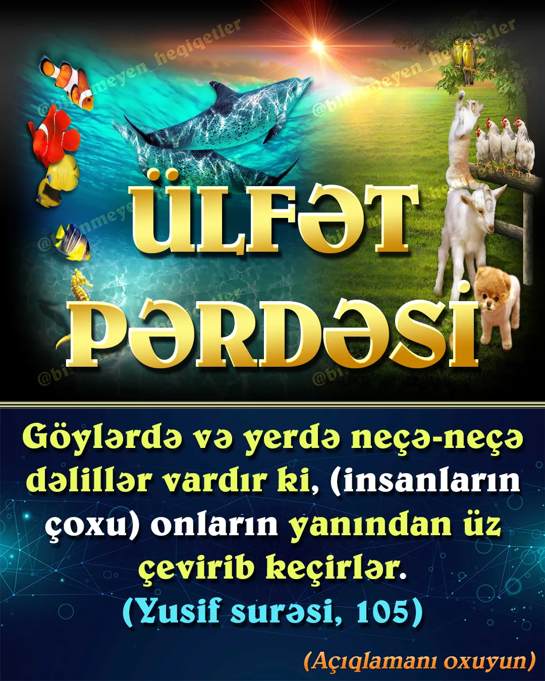 Ülfət” sözünün mənası vərdiş etmək deməkdir