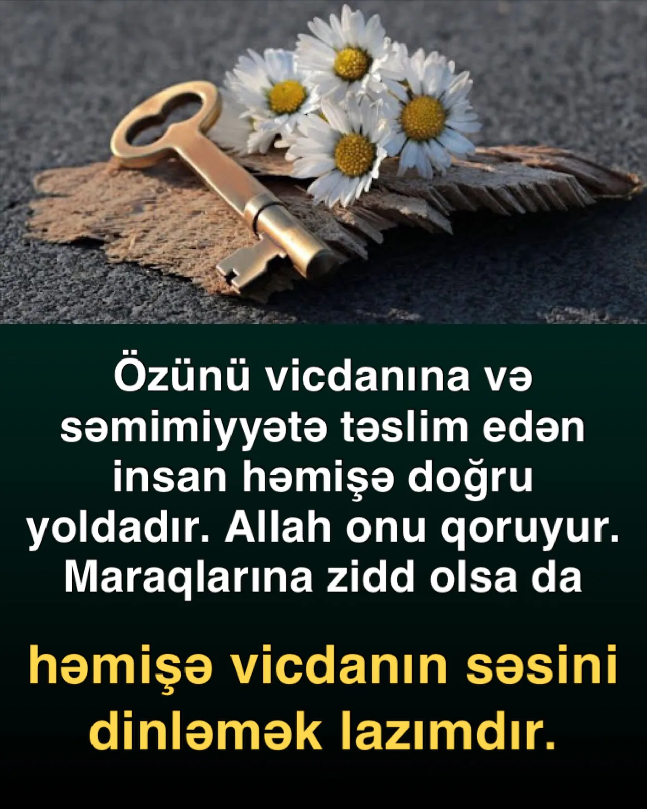Vicdan nə deməkdir?