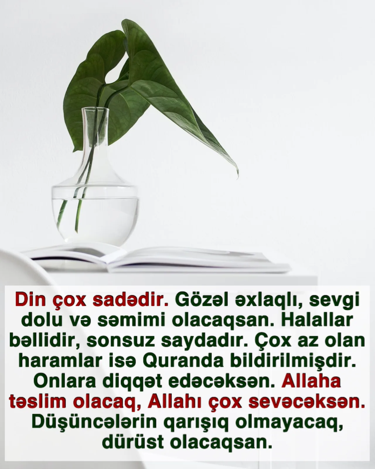 Xarakterdən asılı olmayaraq gözəl əxlaq qazanılır
