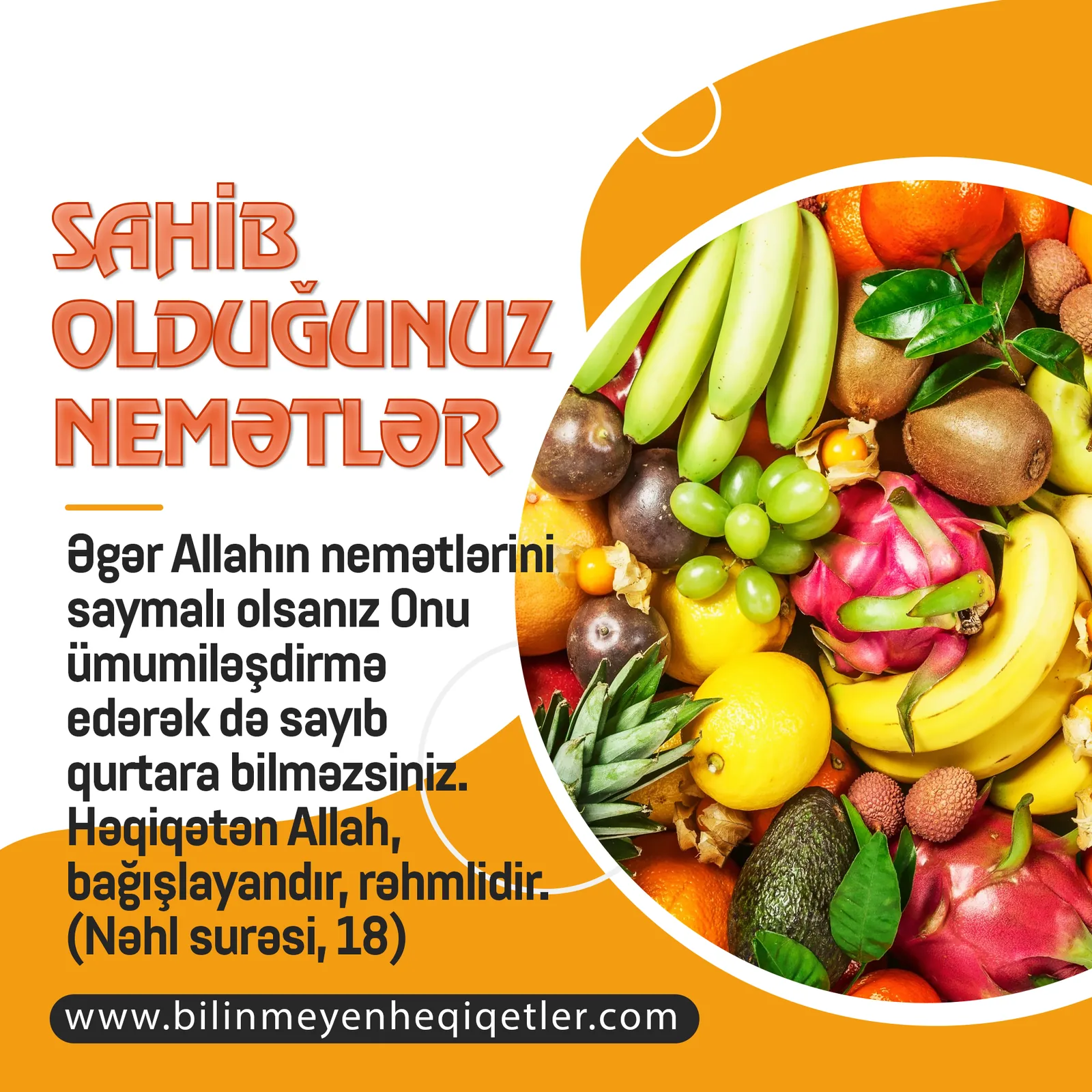 Yaşadığımız dünyada bir çox gözəlliklər və nemətlər var