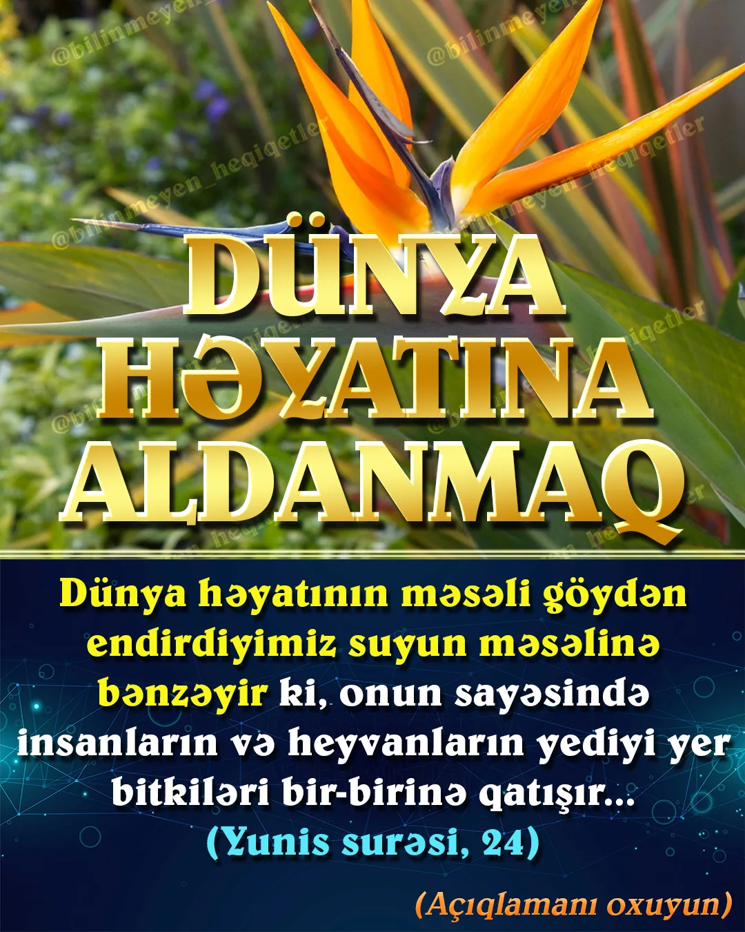 Yaşadığımız dünyada insan üzünü hara çevirsə, gözəlliklərlə qarşılaşır