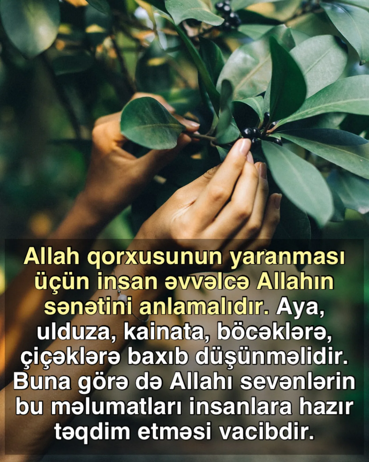 Yazıcı mələklər hər an izləyir