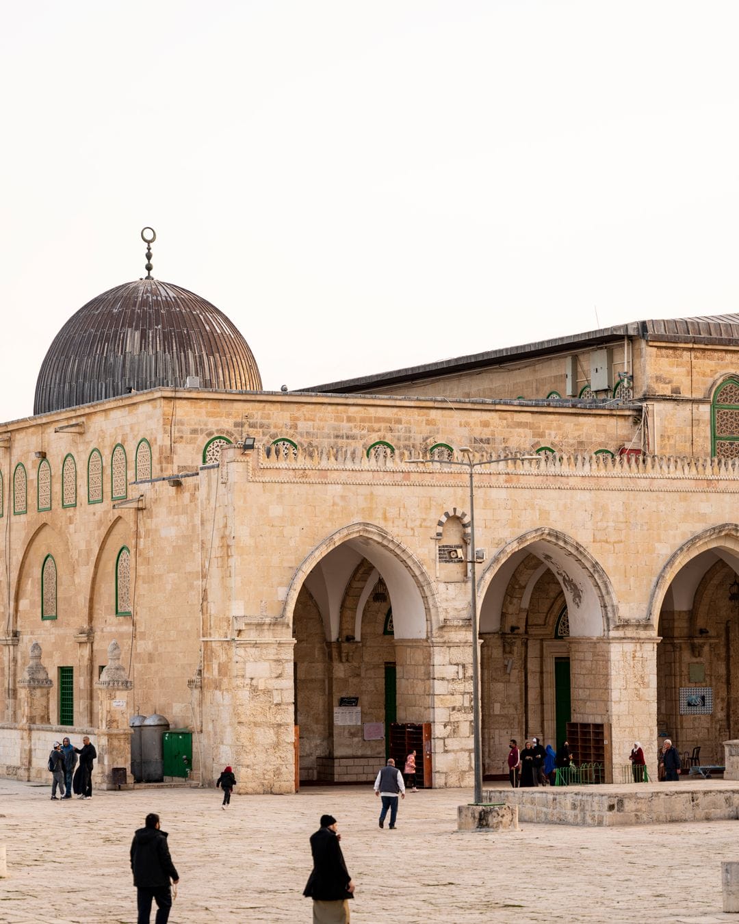 Hz. Mehdi (ə.s)-ın soyu (nəsəbi)
