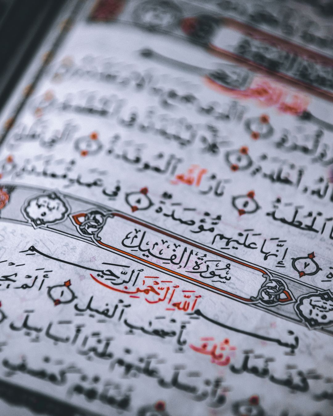 Möminlər qəzəblənirlərmi?
